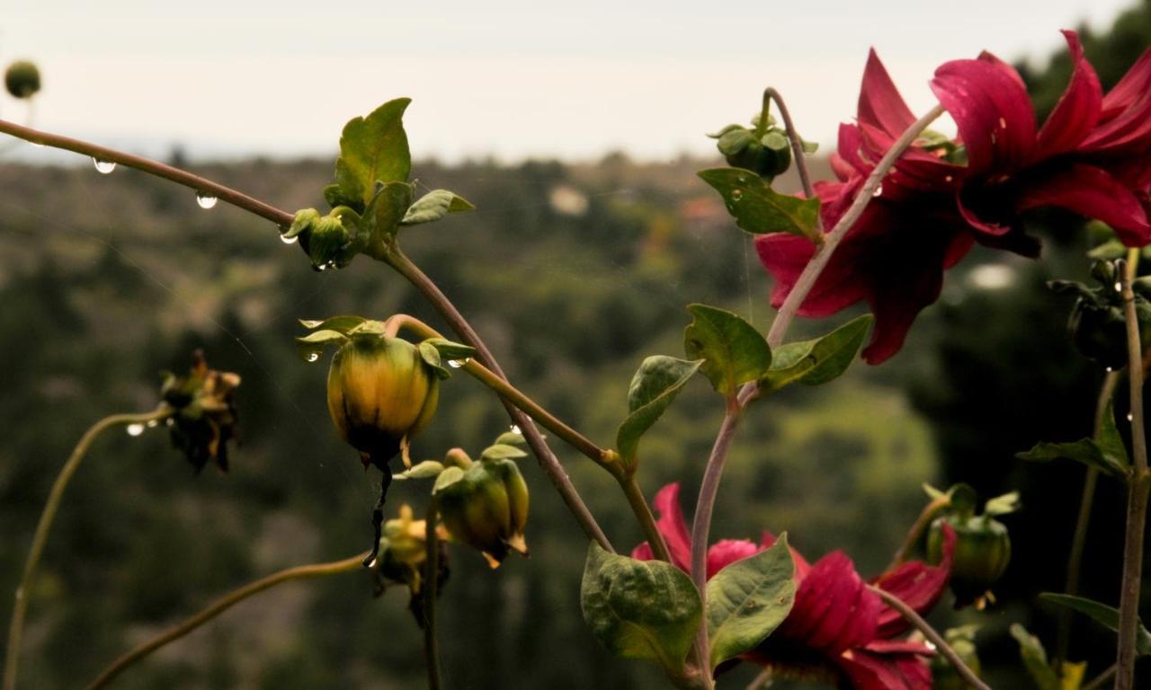 Hotel Panorama La Cumbrecita Εξωτερικό φωτογραφία